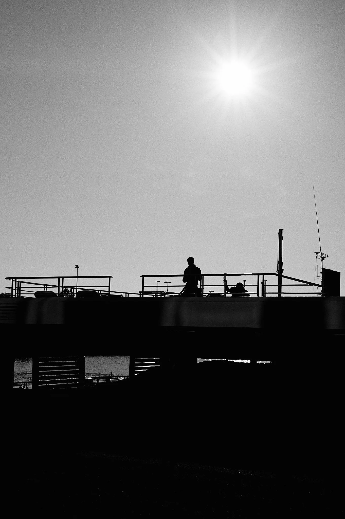 L1003066.jpg