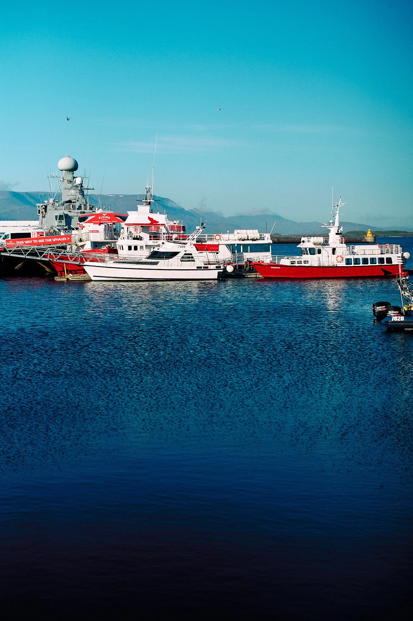 L1003001.jpg