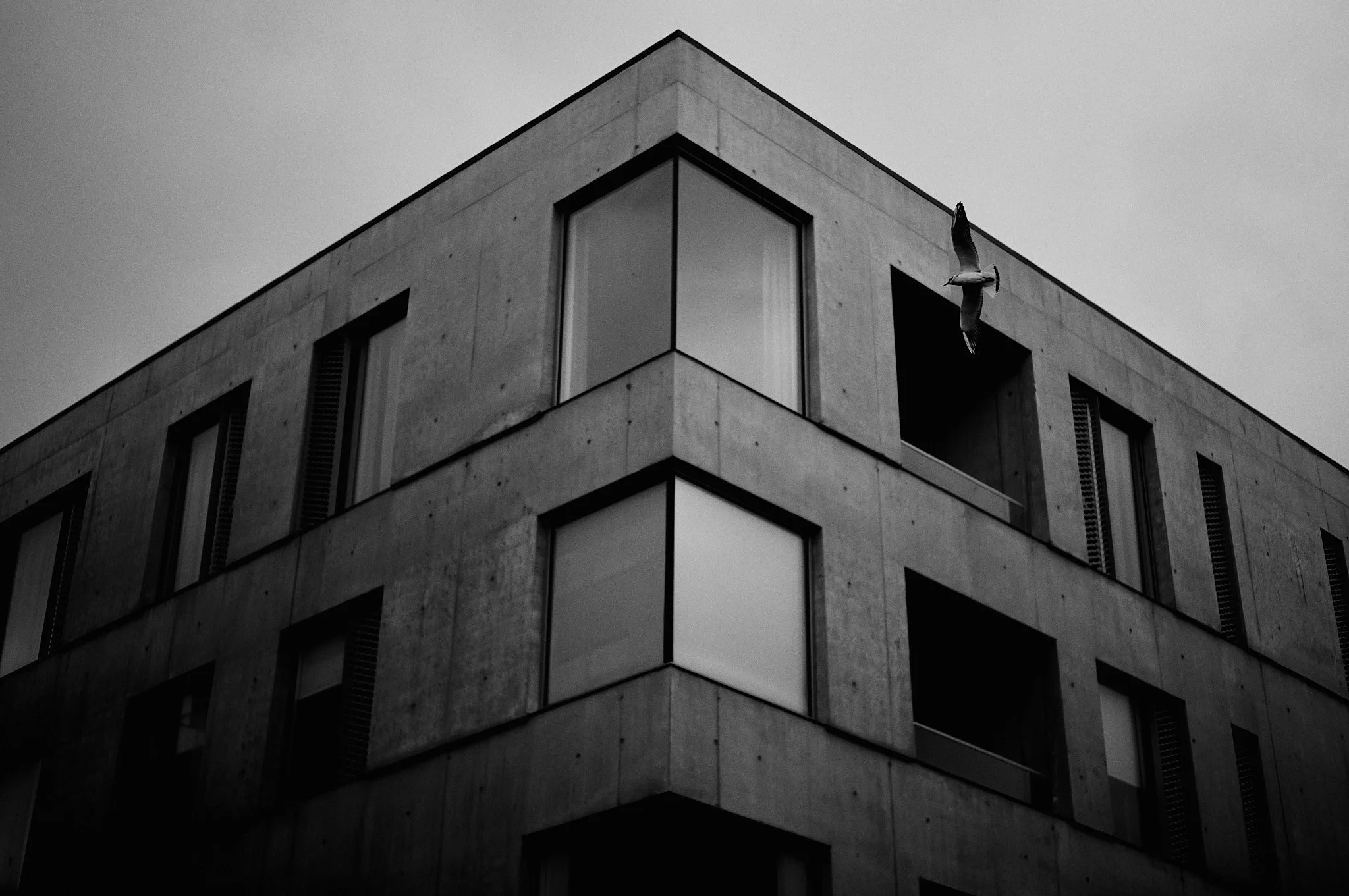 L1004973.jpg