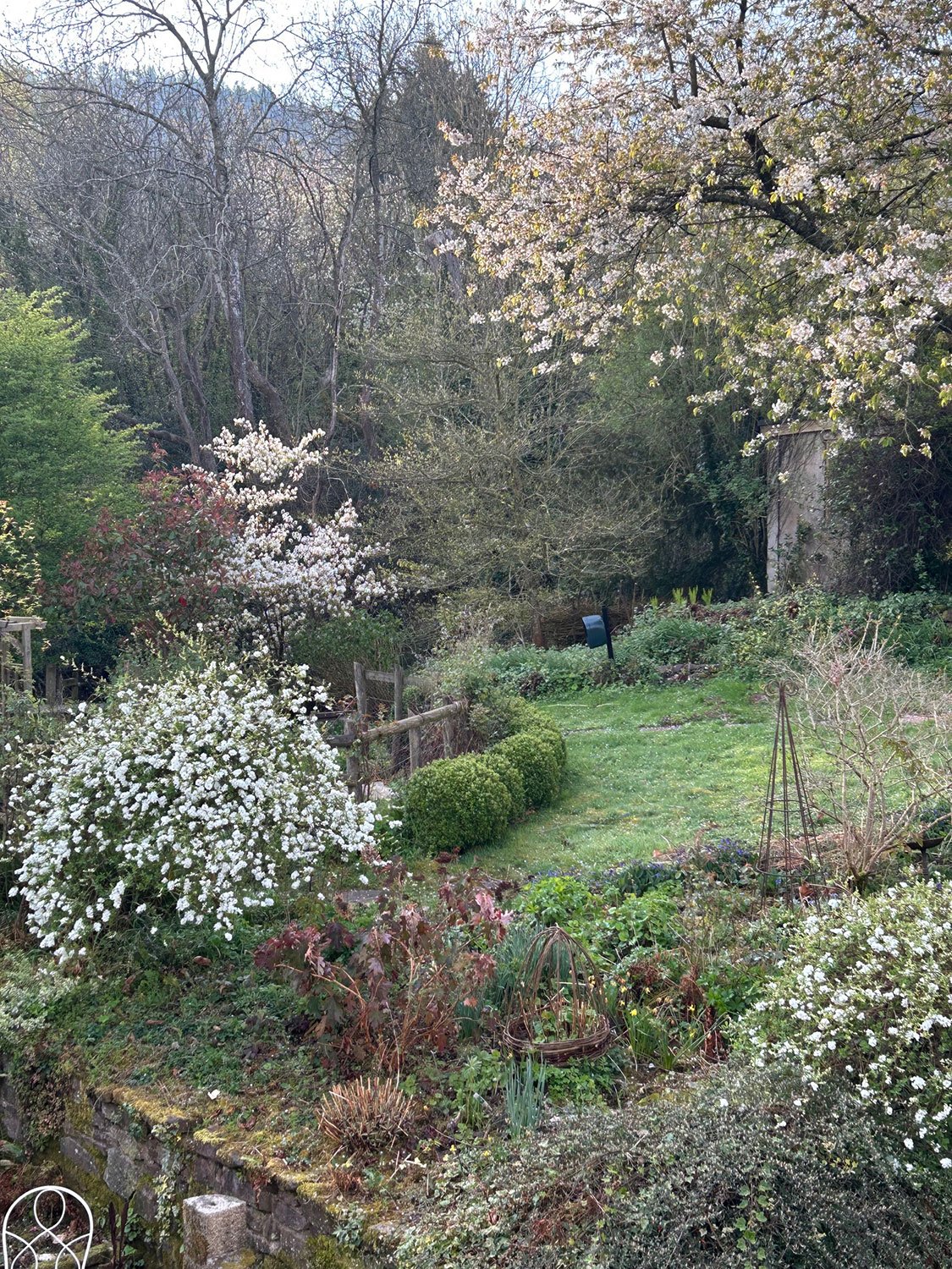 Emily-Jones-garden-07.jpg