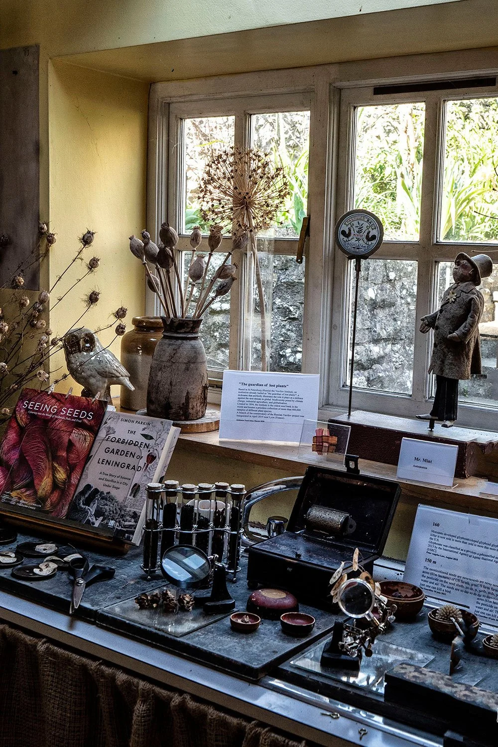 Objects placed so carefully