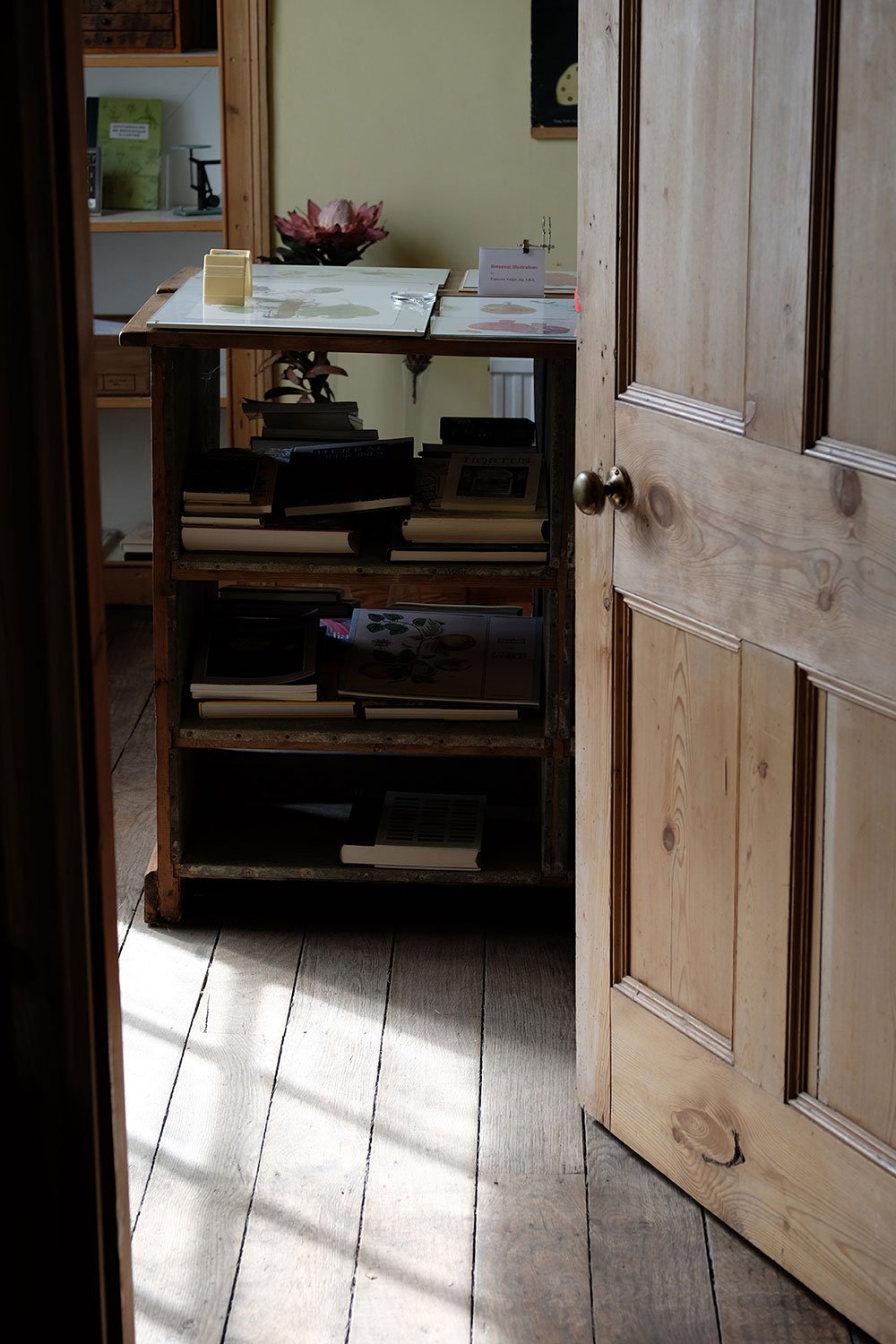 Thought-provoking and vital