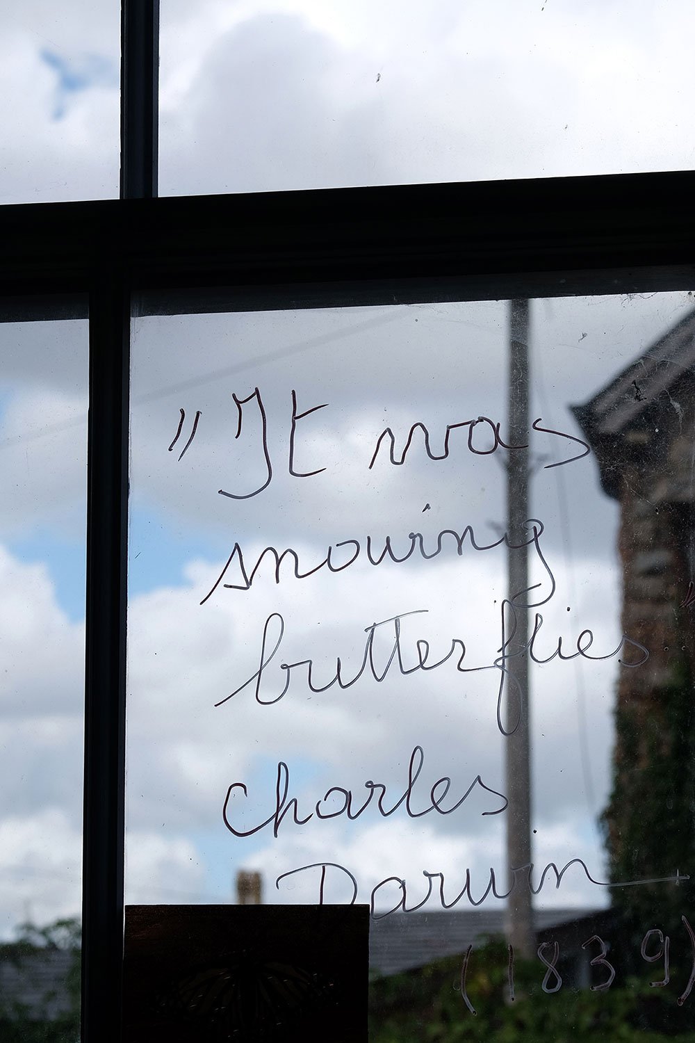 A celebration of natural objects