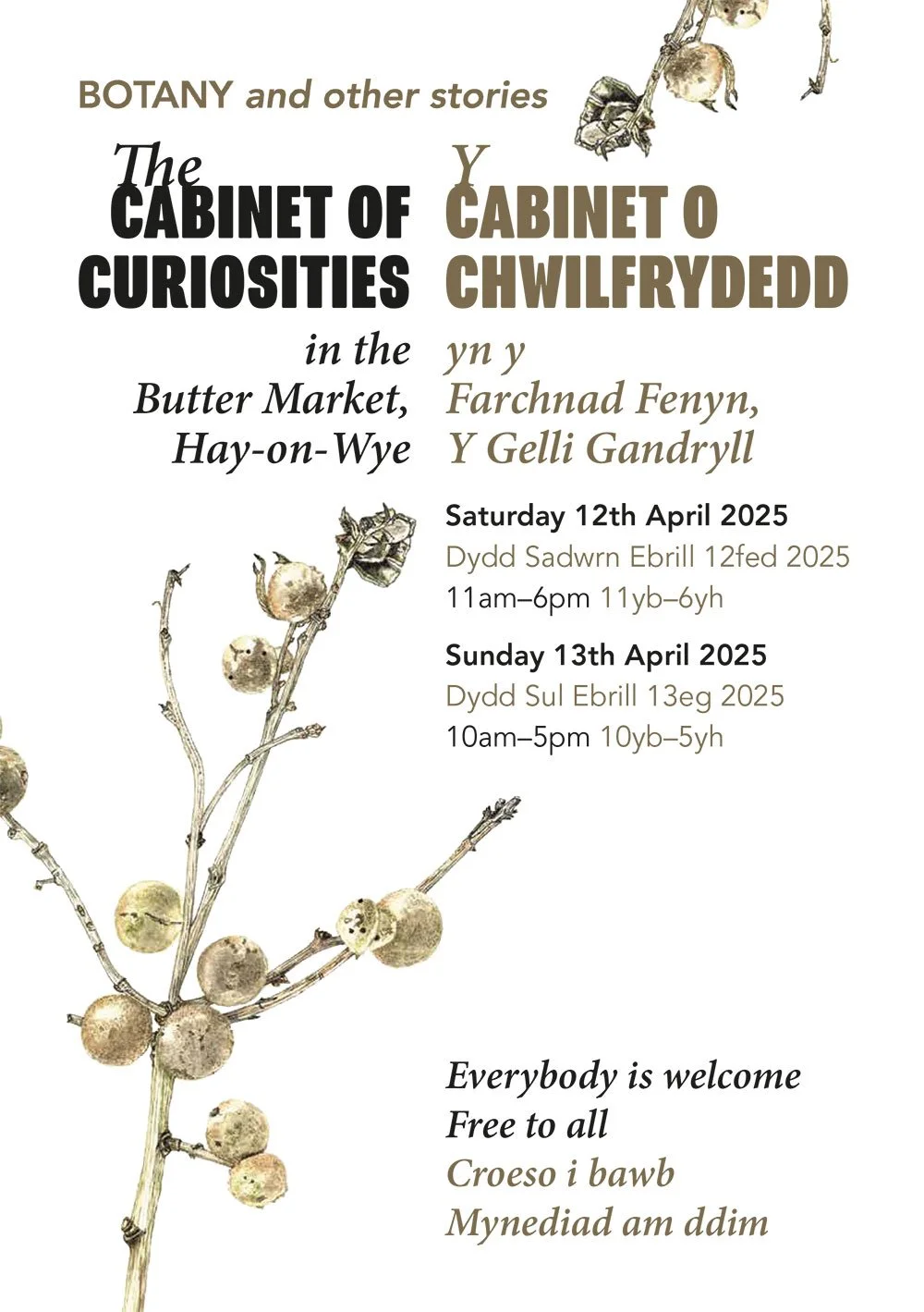 The Cabinet of Curiosities at the Butter-Market in Hay-on-Wye 12 & 13 April 2025