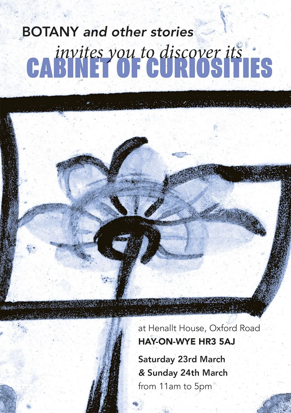 The Cabinet of Curiosities pop-up exhibition at Henallt House 23 & 24 March 2024