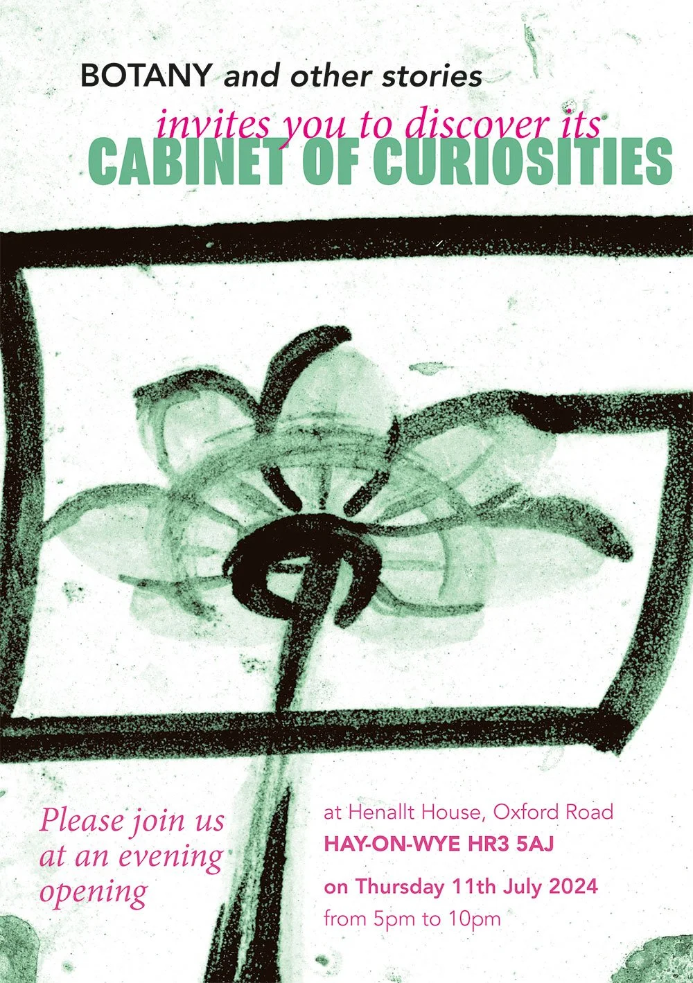 The Cabinet of Curiosities pop-up exhibition at Henallt House 11 July 2024