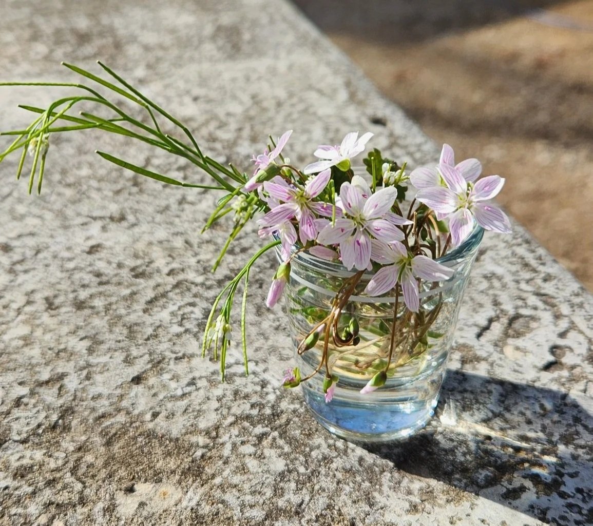 First Week Adventures