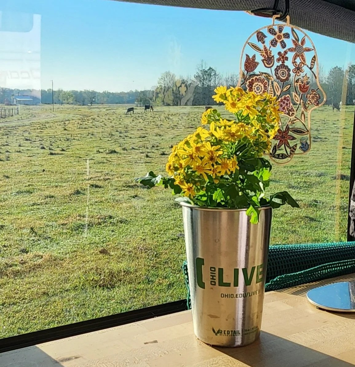 A New Week, A New Beginning