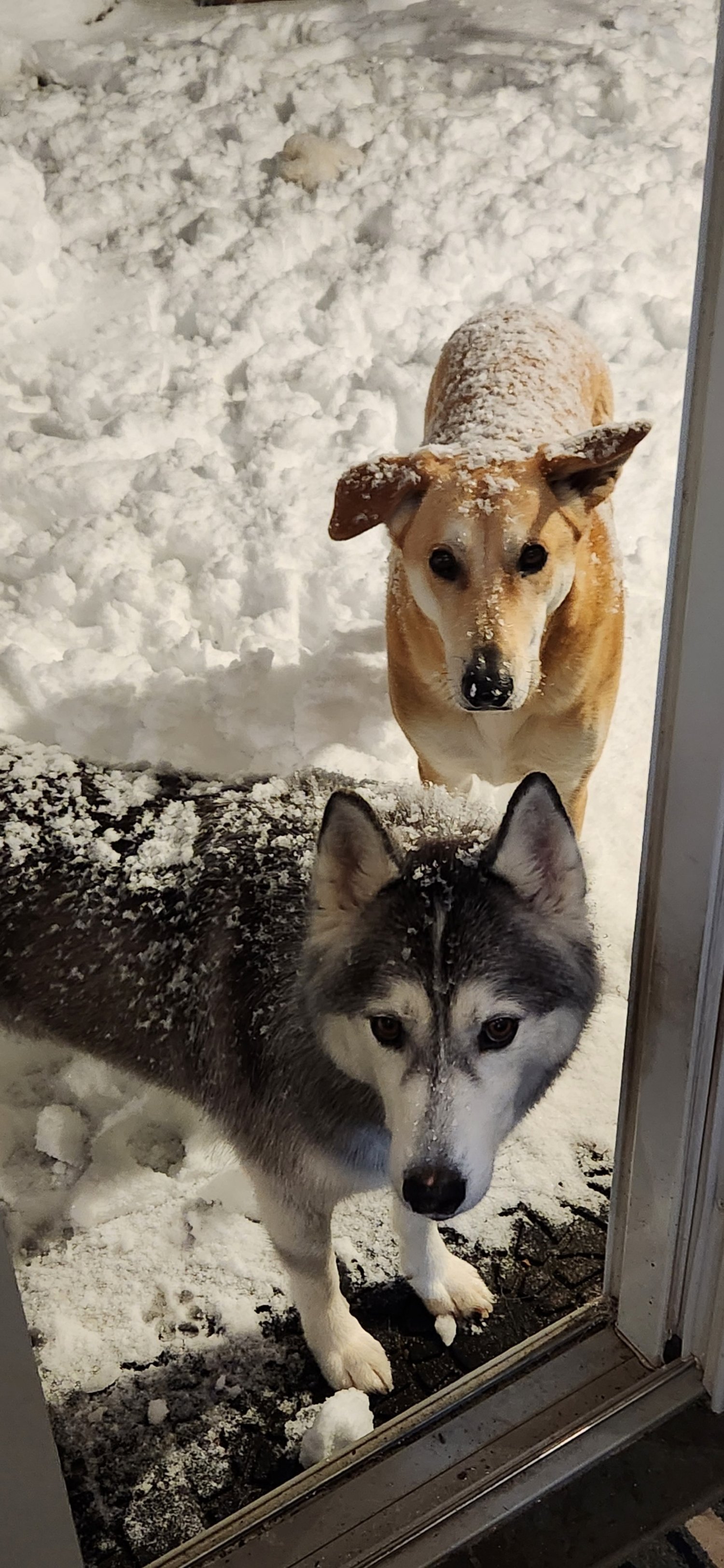The Highs and Lows of Winter