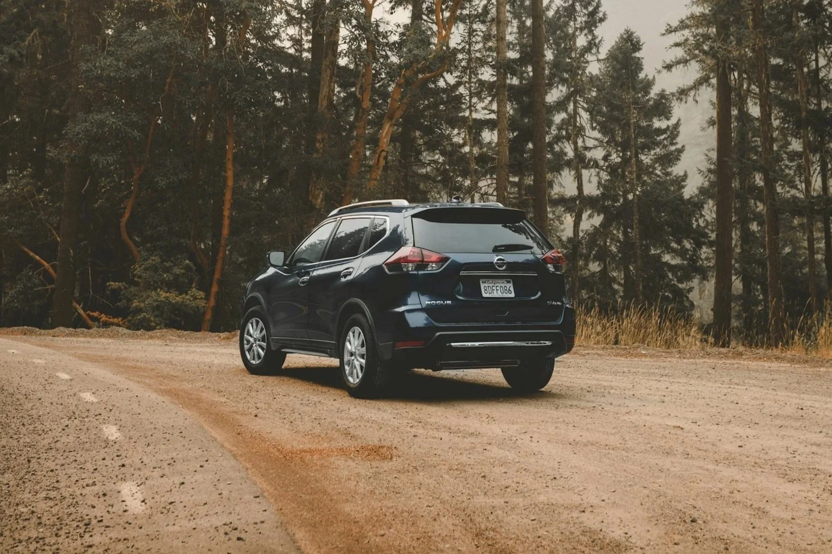 Massage therapy, RMT, best massage in Langley, best massage in Surrey, best massage in maple ridge, top rated RMT, deep tissue massage, pregnancy massage, sports massage, massage therapy for pain, back pain, bandits, neck pain, massage for athletes