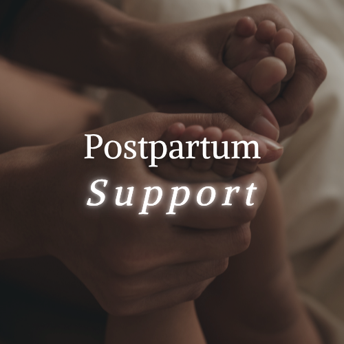 Postpartum Doula Support in St. Petersburg, FL