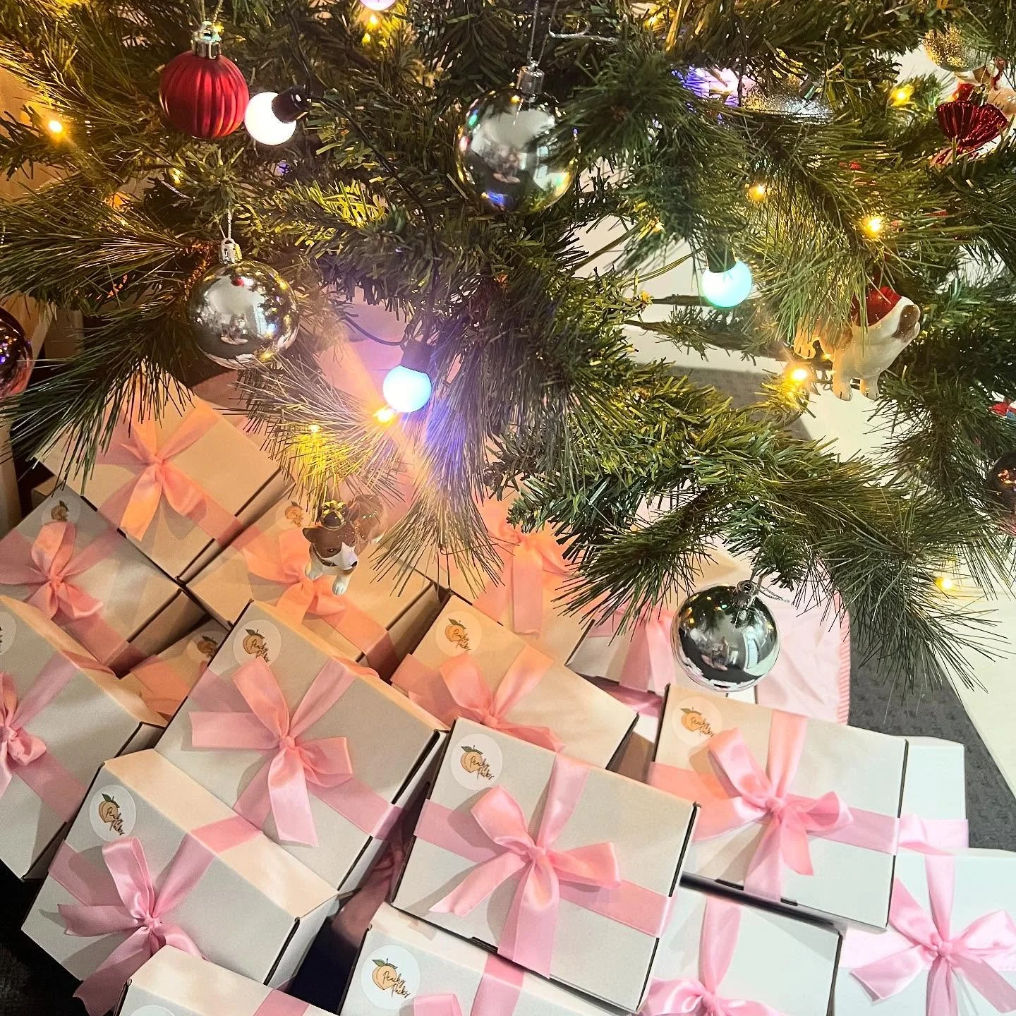 Will there be a Peachy Pack under your Christmas tree this year?