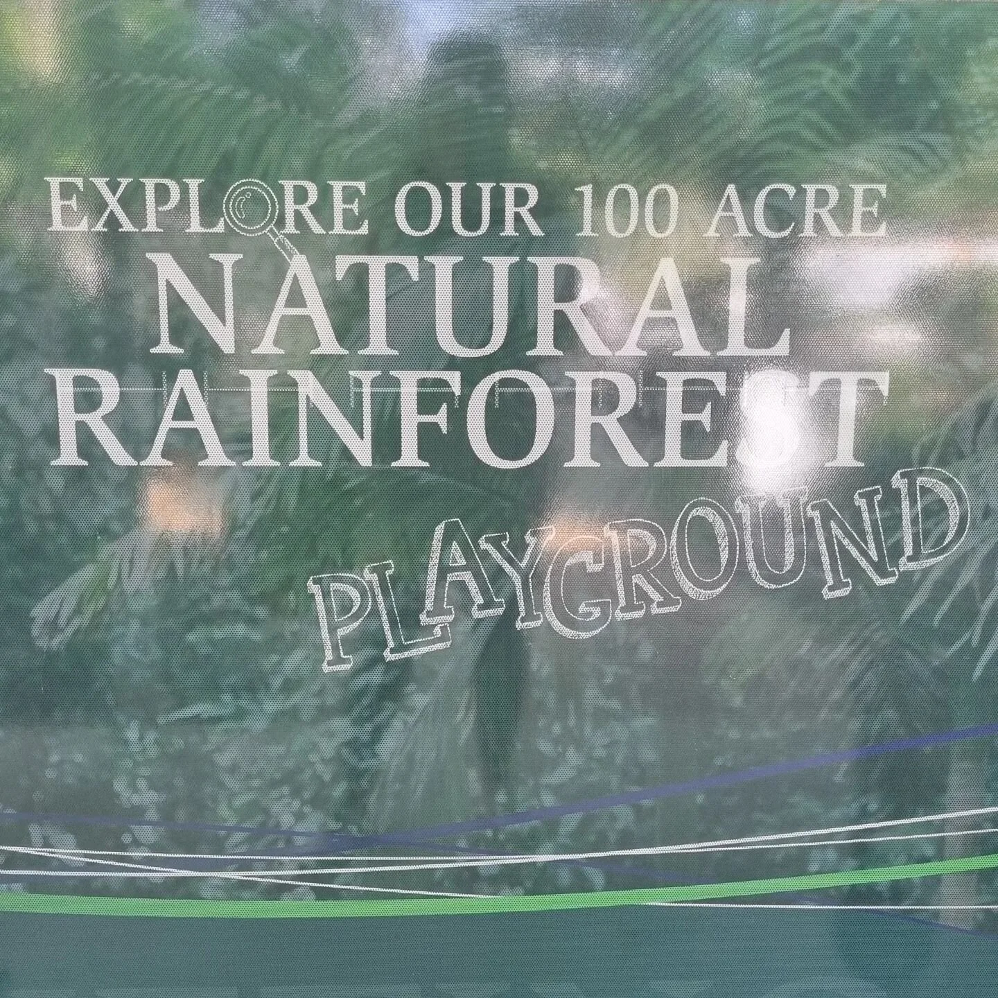 Don't mind if I do, @sunshinecoastgrammar 🍃

What a campus! 😍

Another day, another 'office', another pair of  curiosity-driven workshops delivered, facilitating learning through science and literature for @gateways_education 🤓

#schoolincursions 
