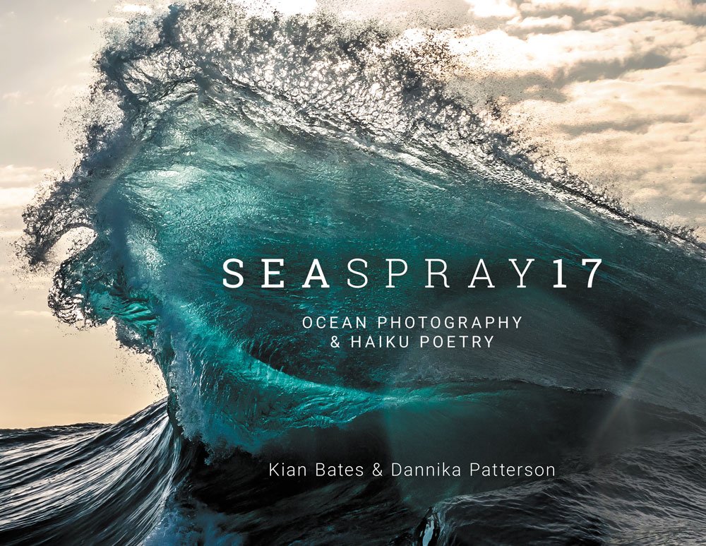dpatterson-seaspary17-cover-promo-online.jpg