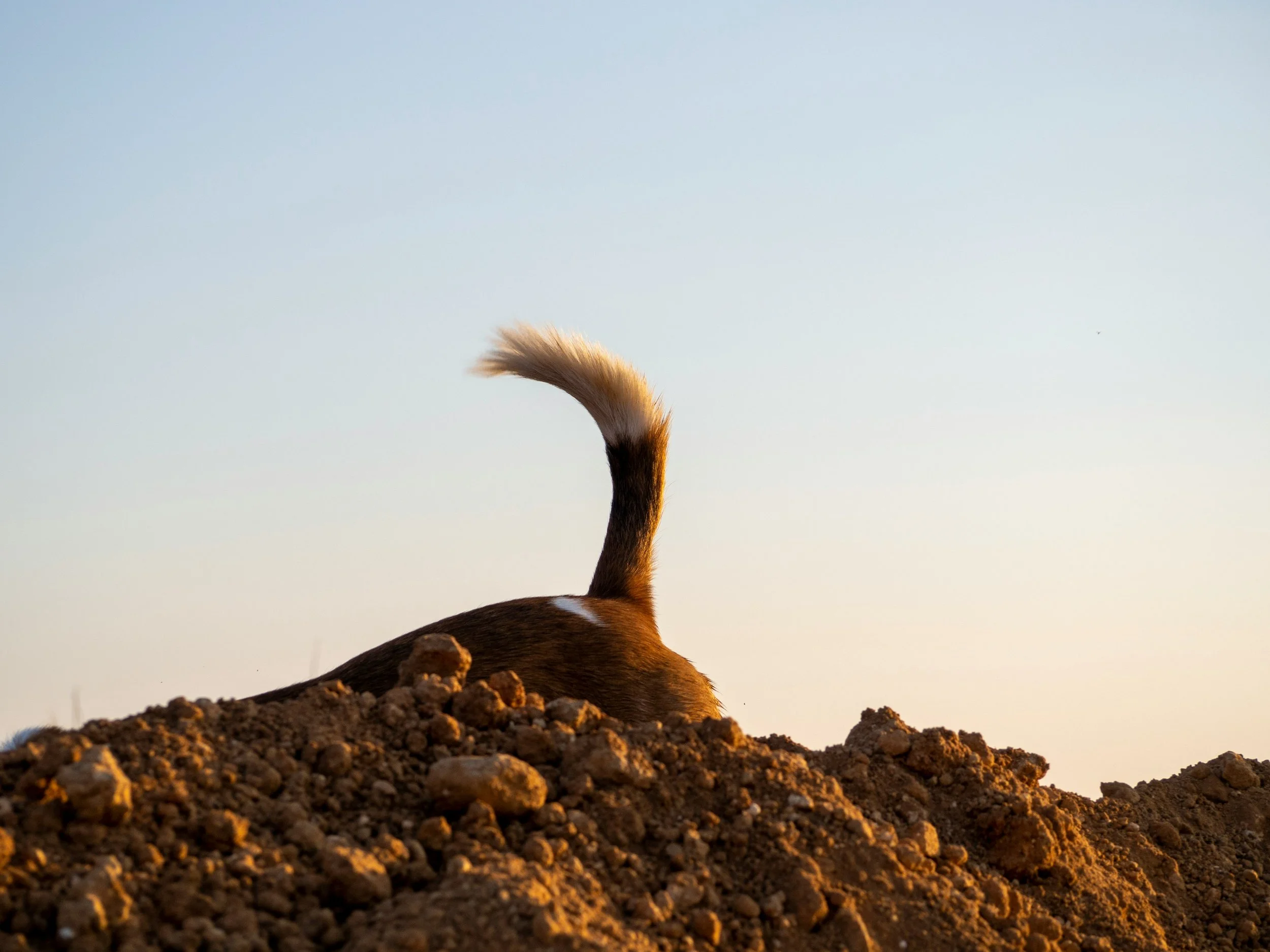 Long-Tail Keyword Strategies for Specialized Therapists (EMDR, CBT, and More)