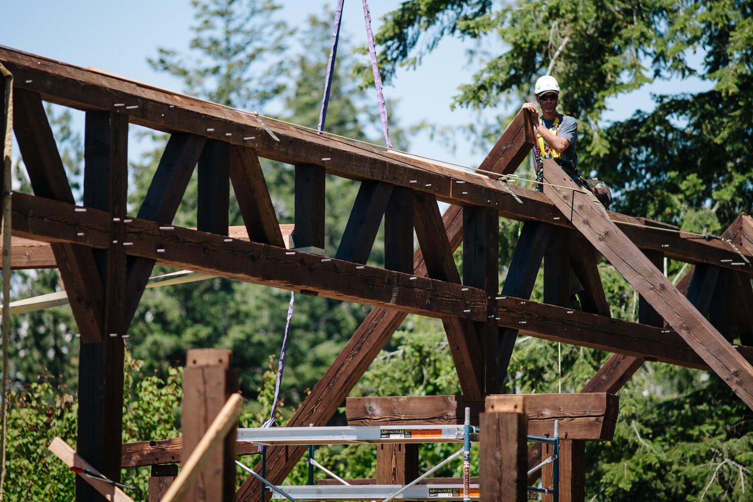 20180620_Timber_Frame_Raising_5D_014_edit.jpg