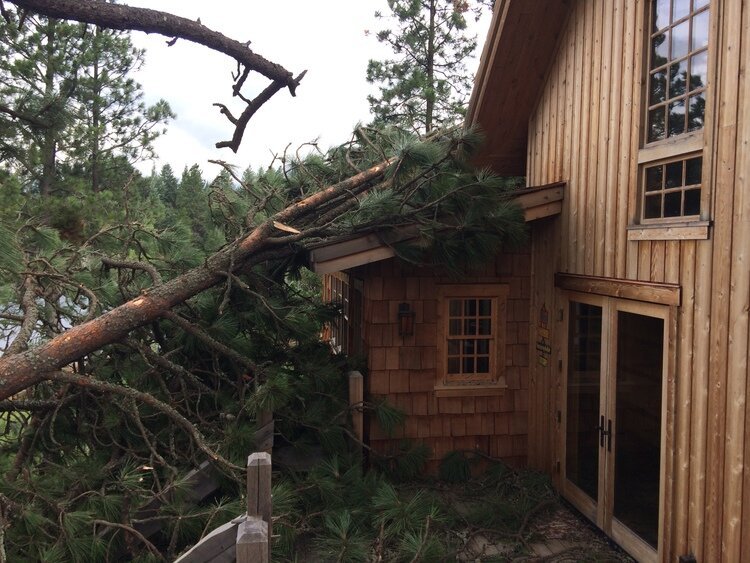 Shelter from the storm