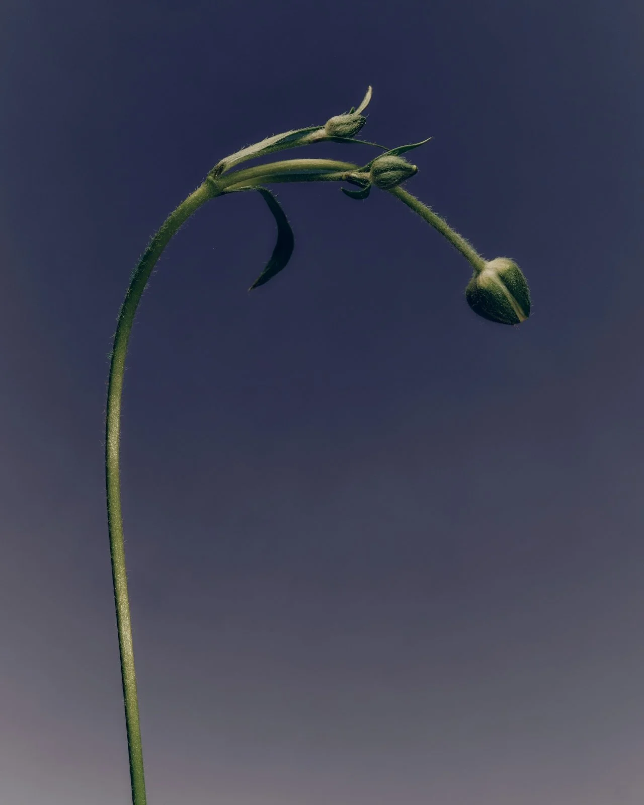 Why Is Creating So Painful?