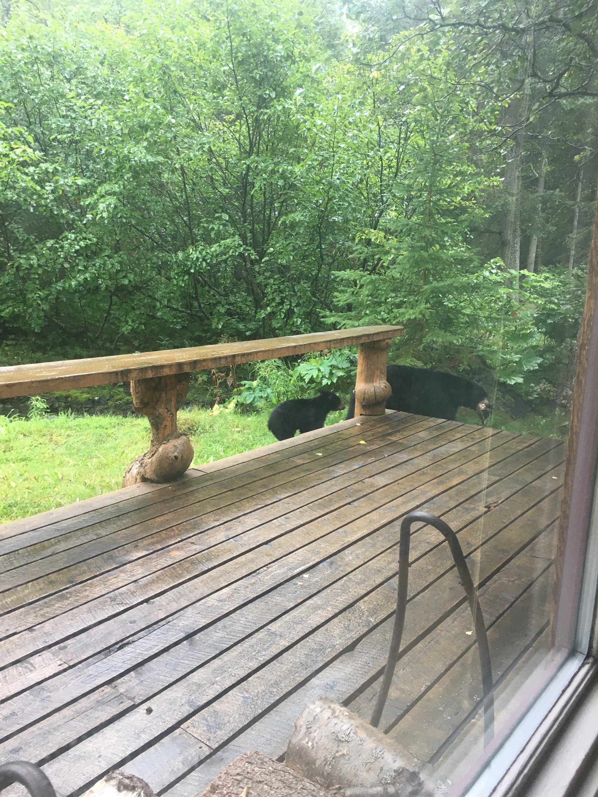 Photos of our Cabins — Hope Alaska's Bear Creek Lodge