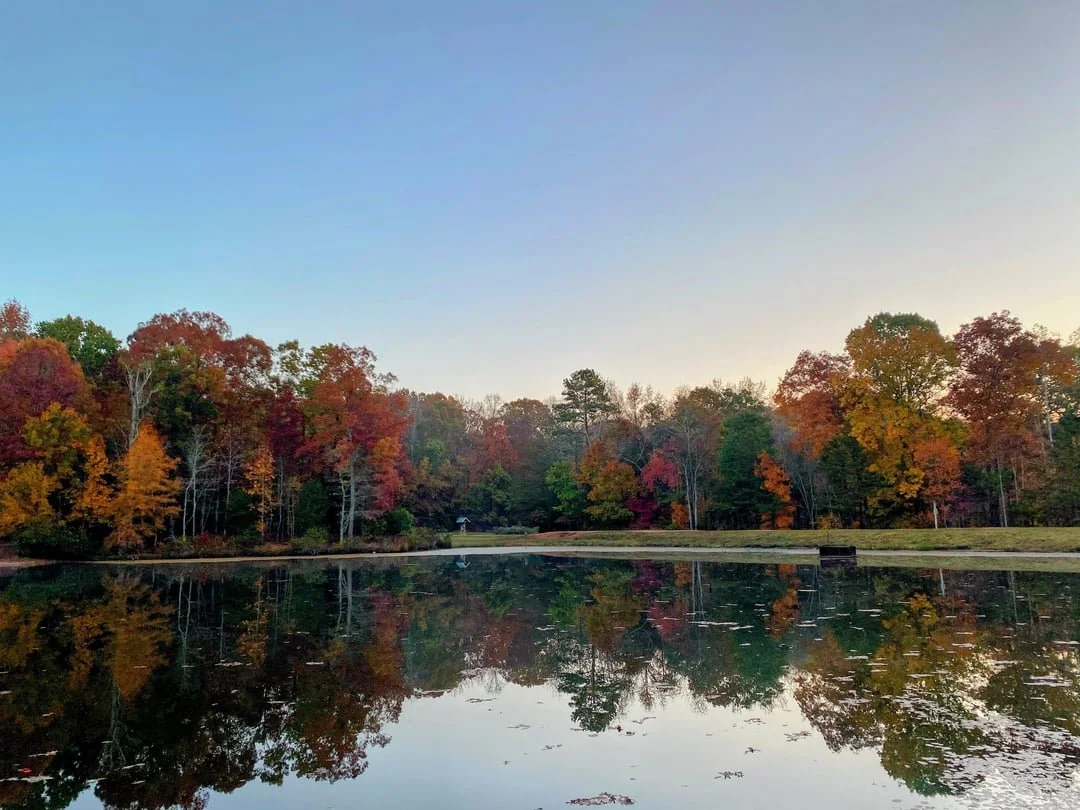 Day of Mindfulness In the Heart of Reedy Creek Park