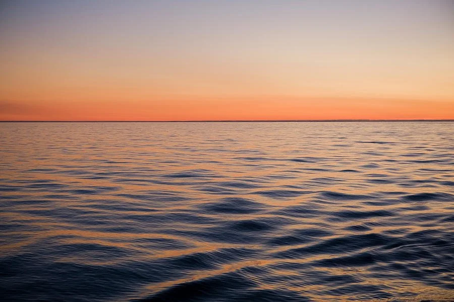 Embodied Rest: Somatics &amp; Yoga Nidra [Online]