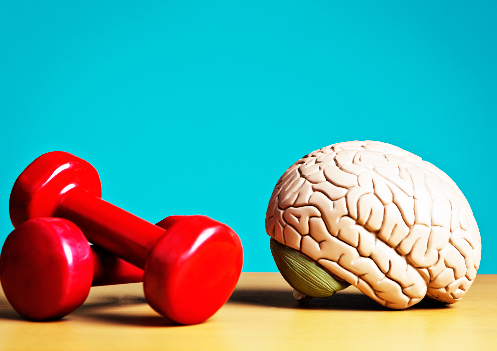 Dumbbells and Figure of Brain on a table. Resilient Health Group, 226 Magill Road, Beulah Park SA 5067.  Brain Training Fitness Norwood.