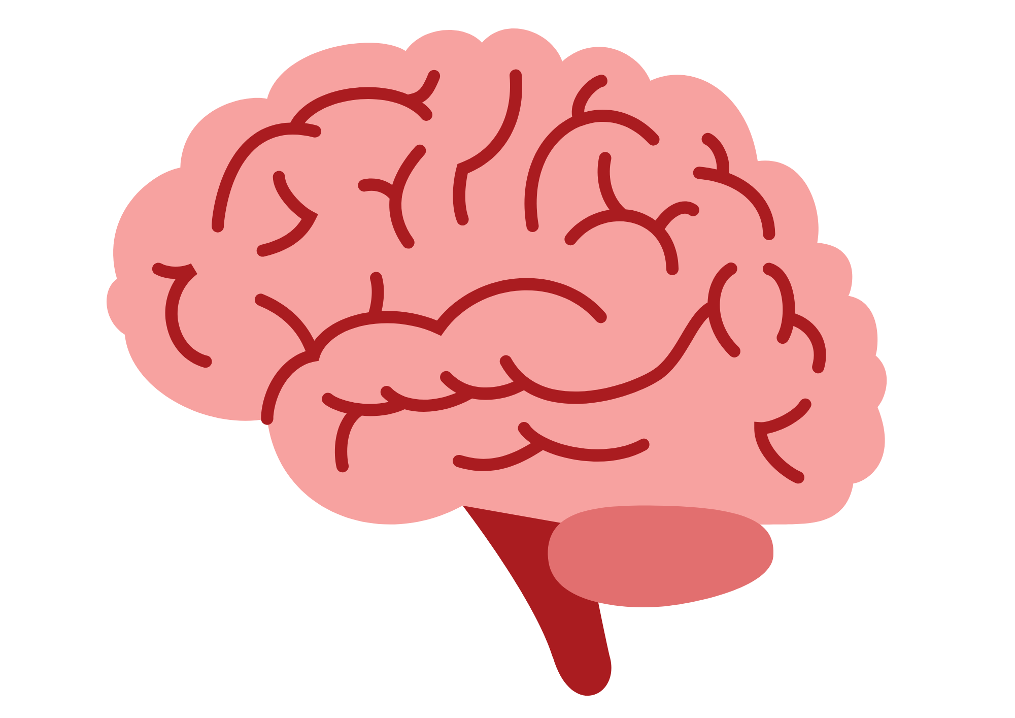 Brain Image, Resilient Health Group, 226 Magill Road, Beulah Park SA 5067. Brain Training Adelaide.
