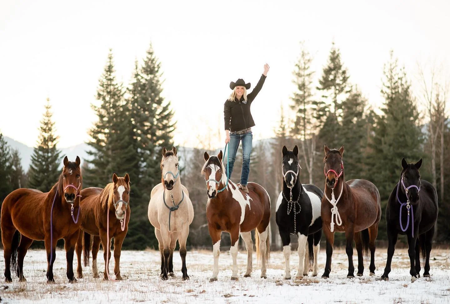 Jessie Leen | Wild Hearts Equestrian Connections