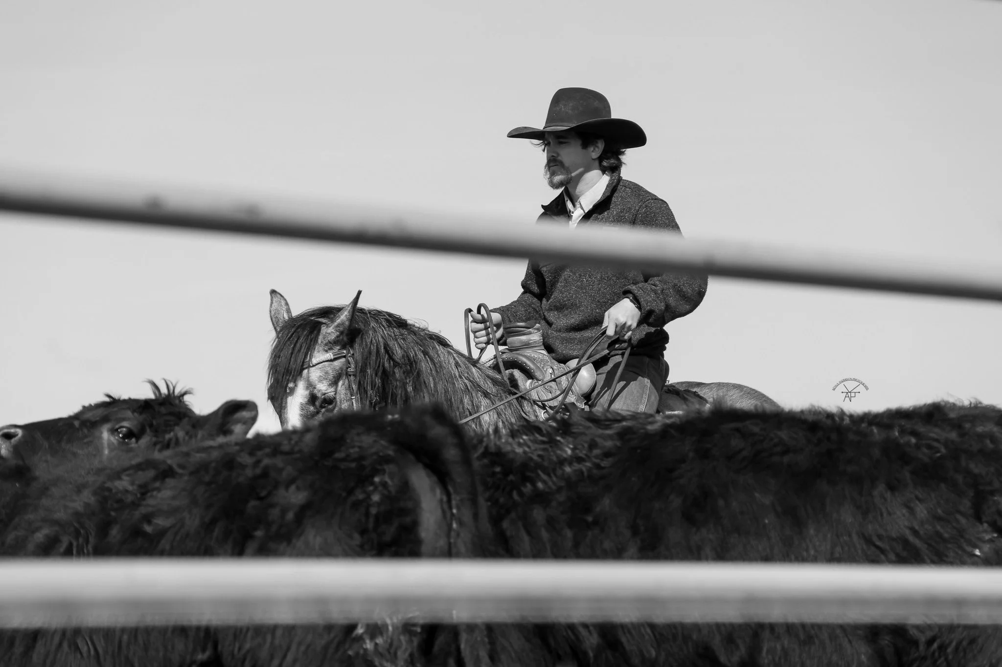 Roping Clinic Series with Stalon Robinson