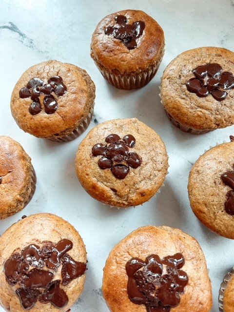 Chocolate peanut butter protein muffins