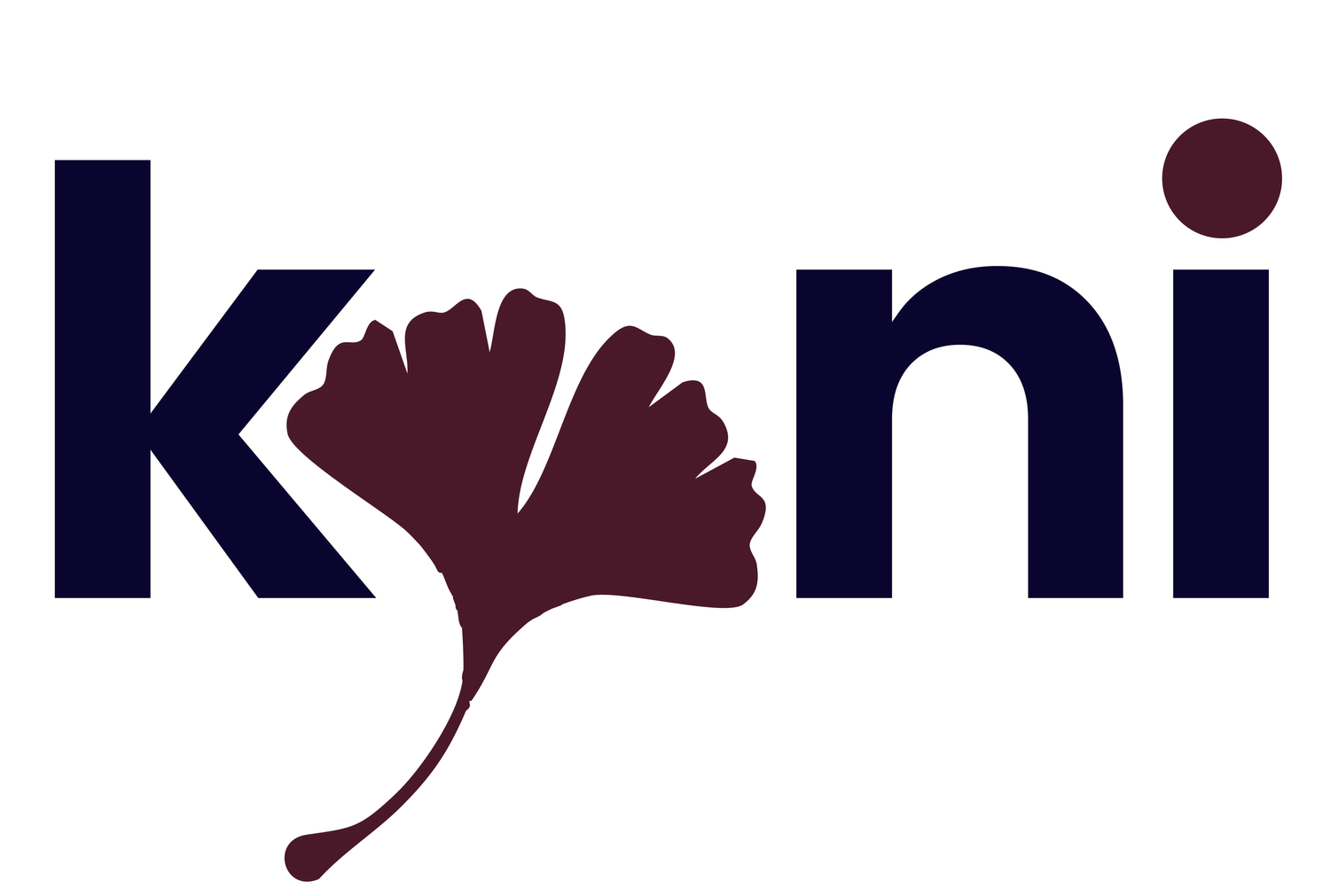 Kyni Solutions LLC