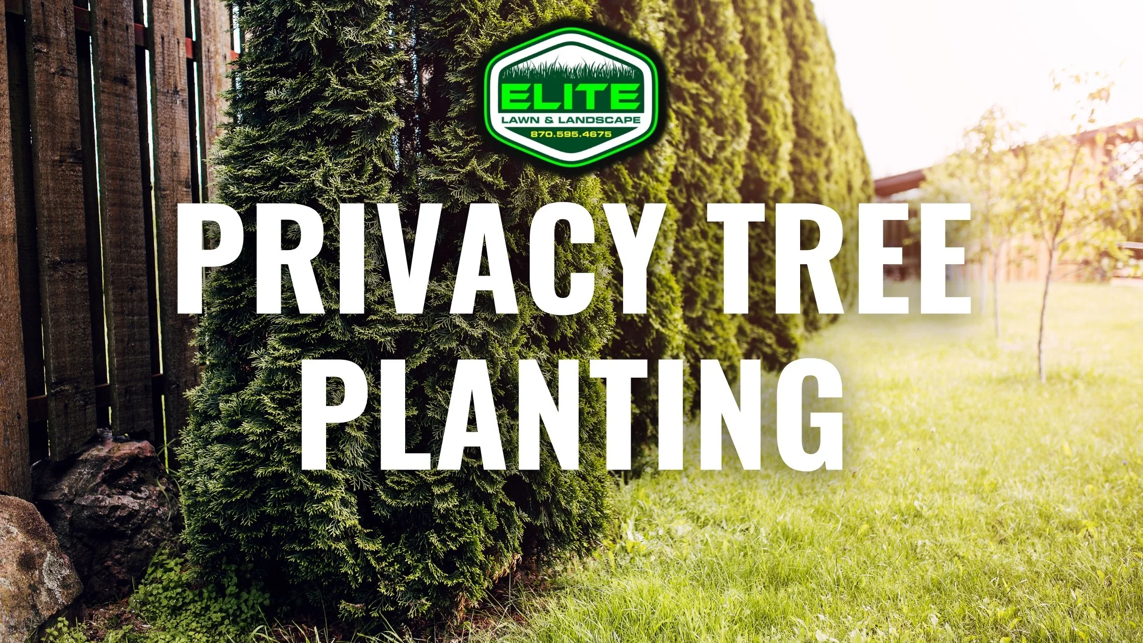 Surround Your Backyard Space with Privacy Tree Planting — Elite Lawn ...
