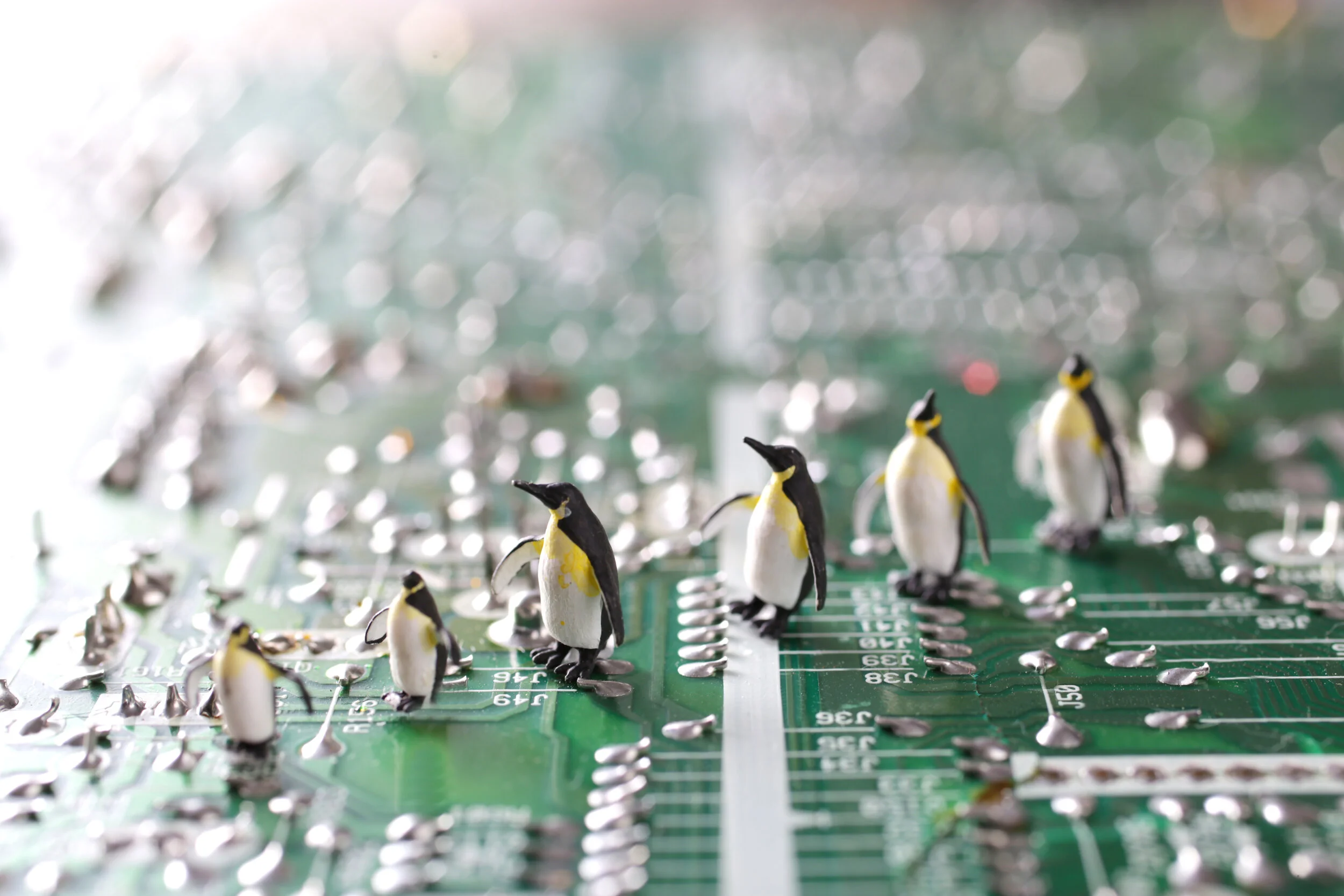 Is It Time to Freshen Up? Google loves fresh content