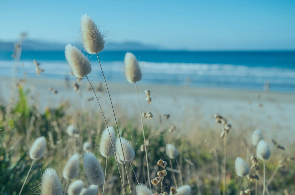 Karen Turner, Counsellor