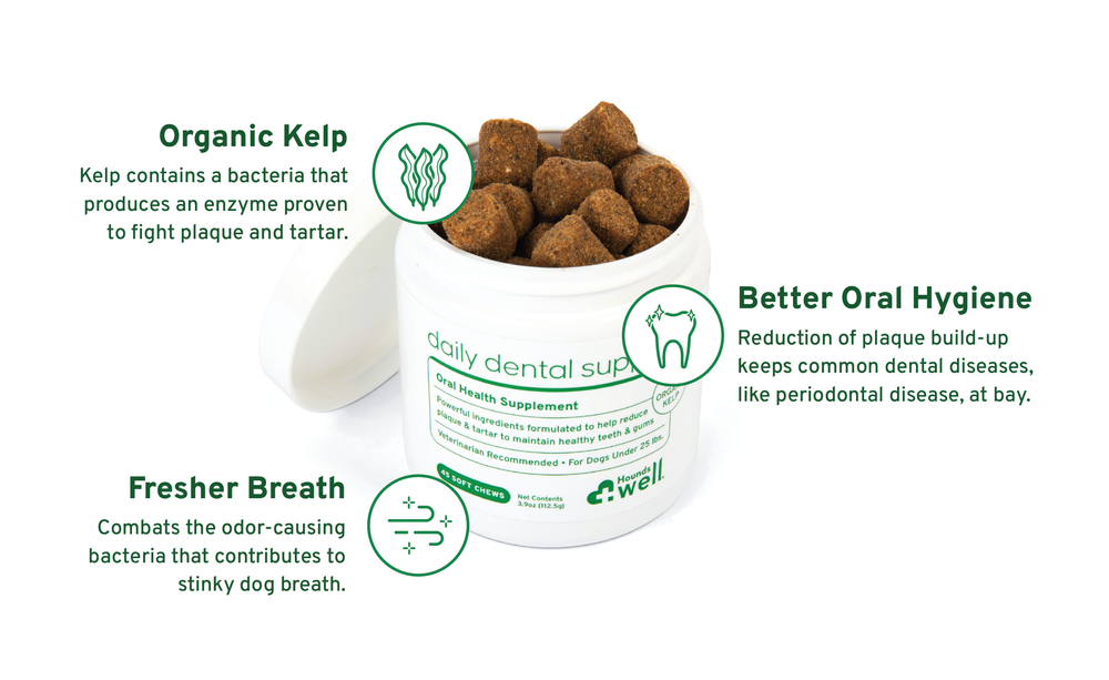Daily Dental Support | Hassle-free dental care for your dog! — Houndswell