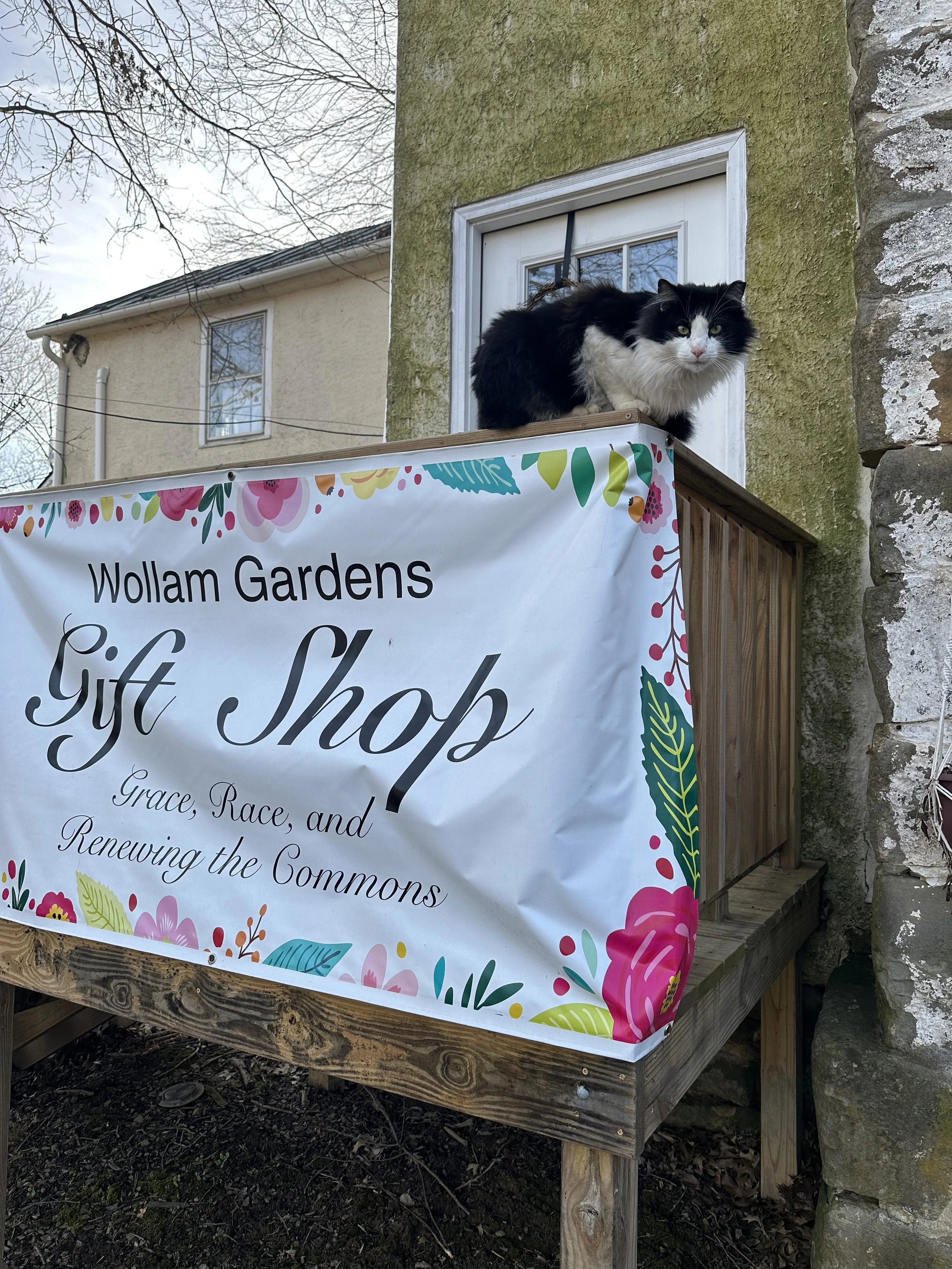 Shop — Wollam Gardens