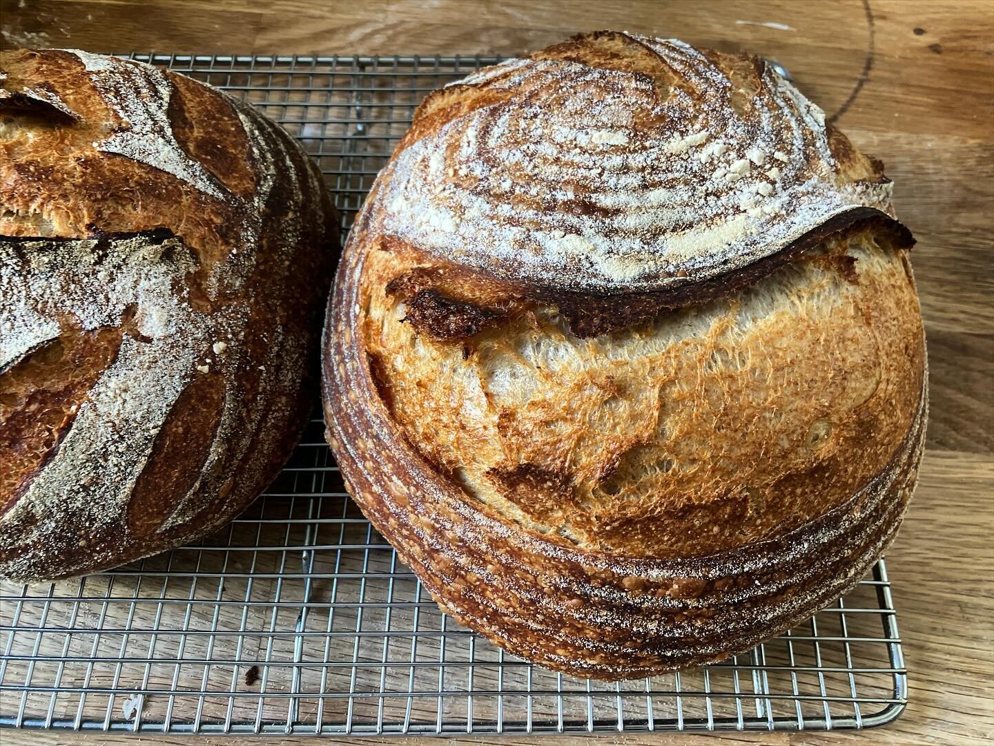 Upcoming dates for Sourdough for the Home-baker: 3/10, 4/29, 6/9