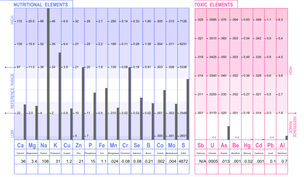 Sample-HTMA-Result.png
