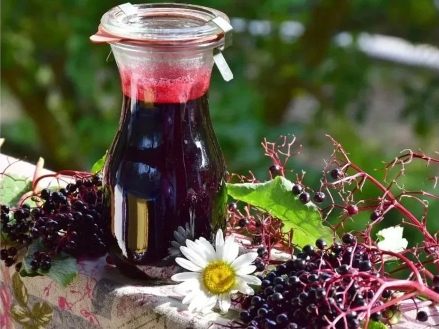 A naturopath’s guide to immunity and staying well this winter season