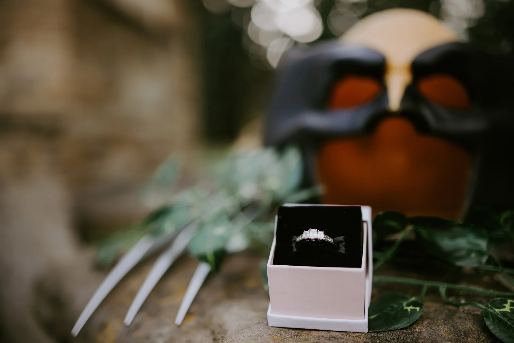 Hobart City Centre Walk Engagement Session