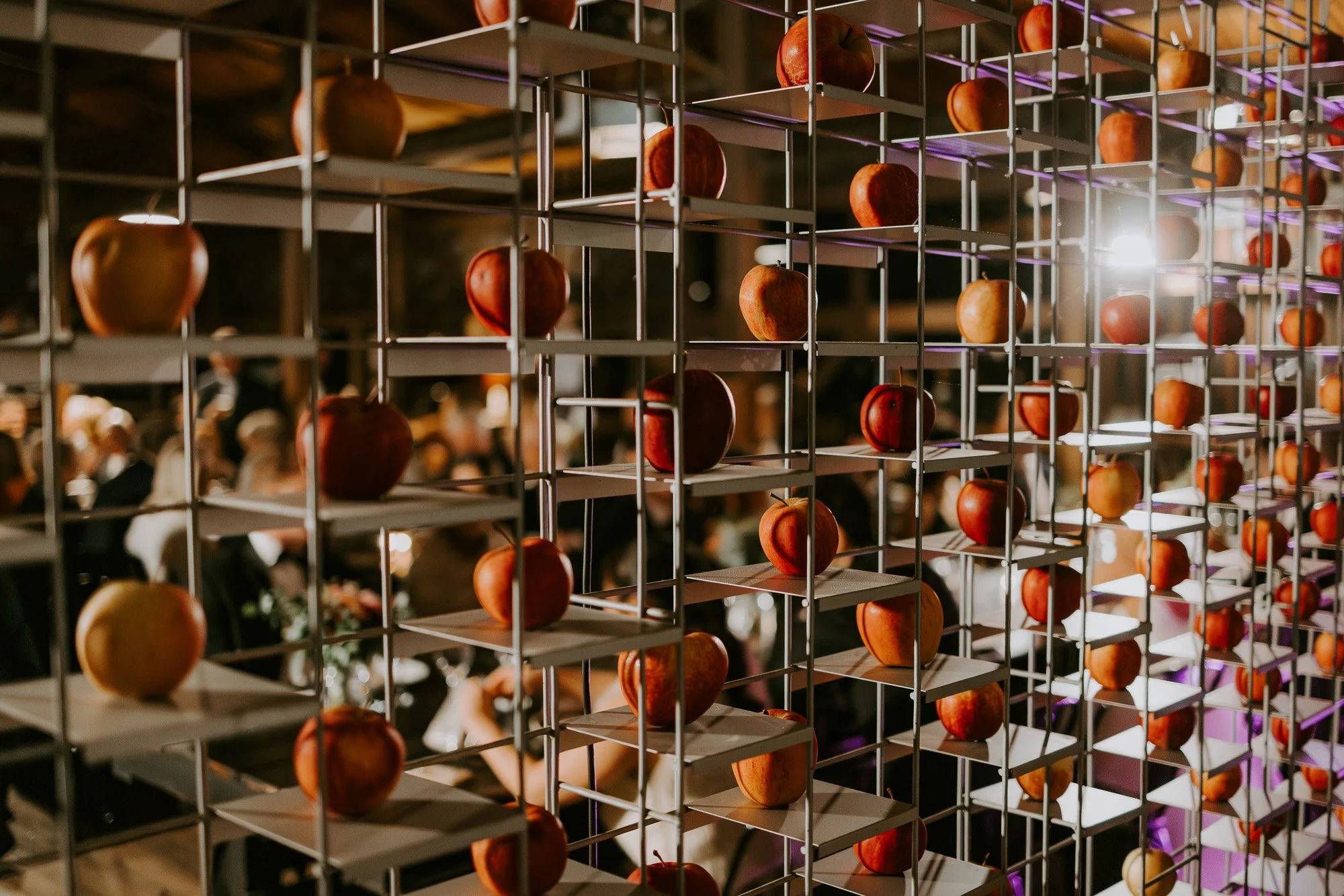 G&S Hobart Wedding by Ulla Nordwood Photography - 0181.jpg