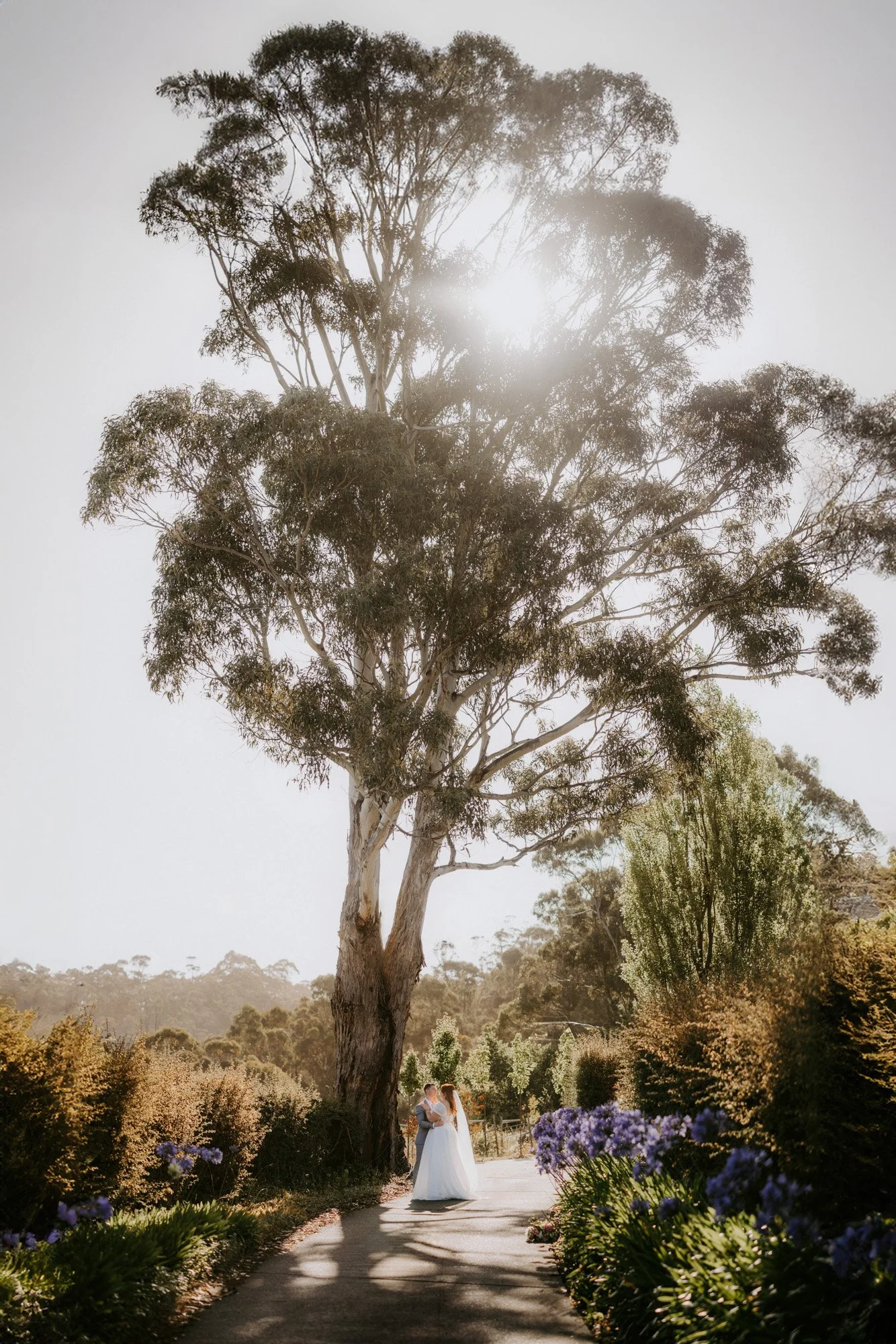 C&X_Wedding_Glen_Albyn_Tasmania_Hobart_Ulla_Nordwood_Photography0068.jpg