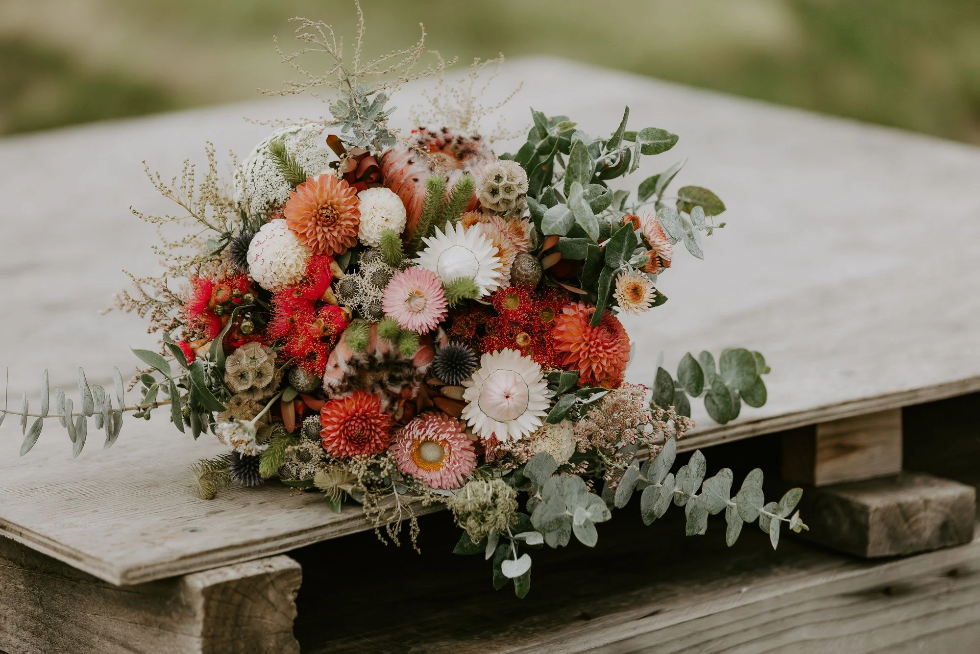 G&S Hobart Wedding by Ulla Nordwood Photography - 0149.jpg