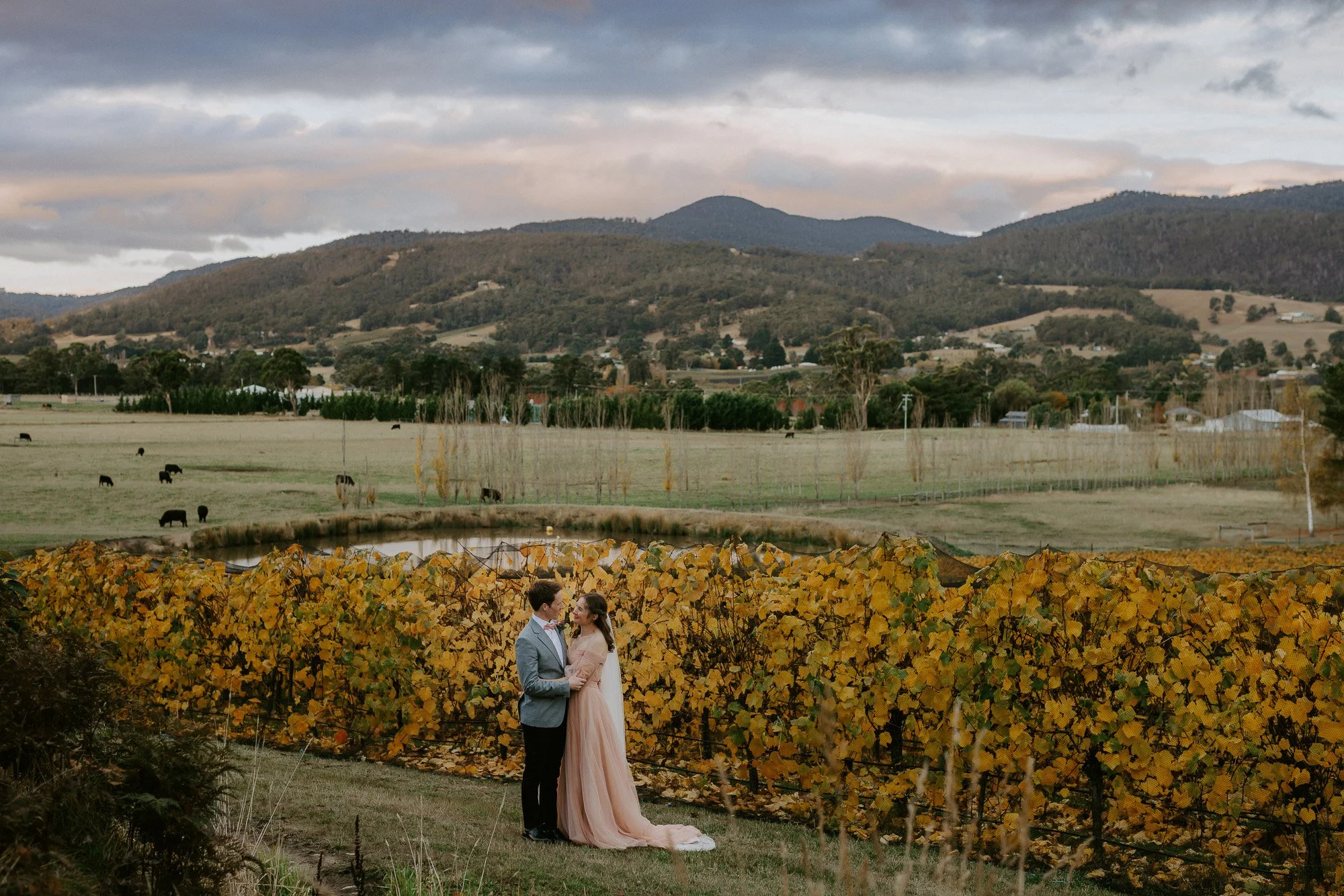 Elegant Tasmanian Winery Weddings: A Complete Guide