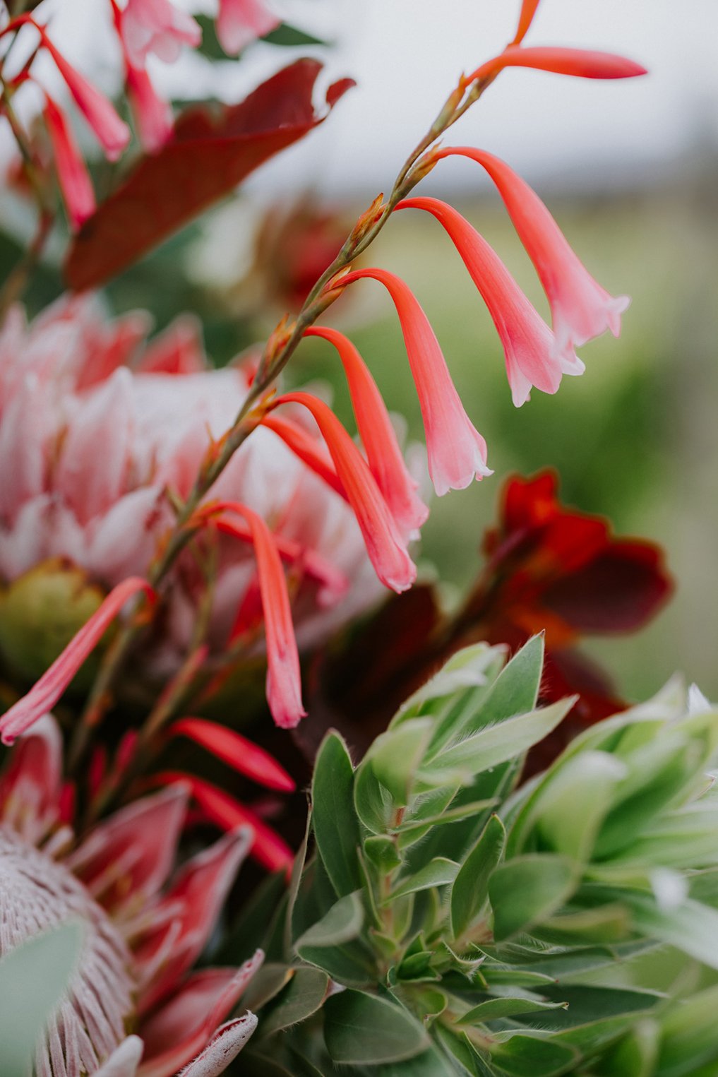 RJ_GoldCoast_Queensland_Australia_Wedding_Ulla_and_Egor_Photography0075.jpg