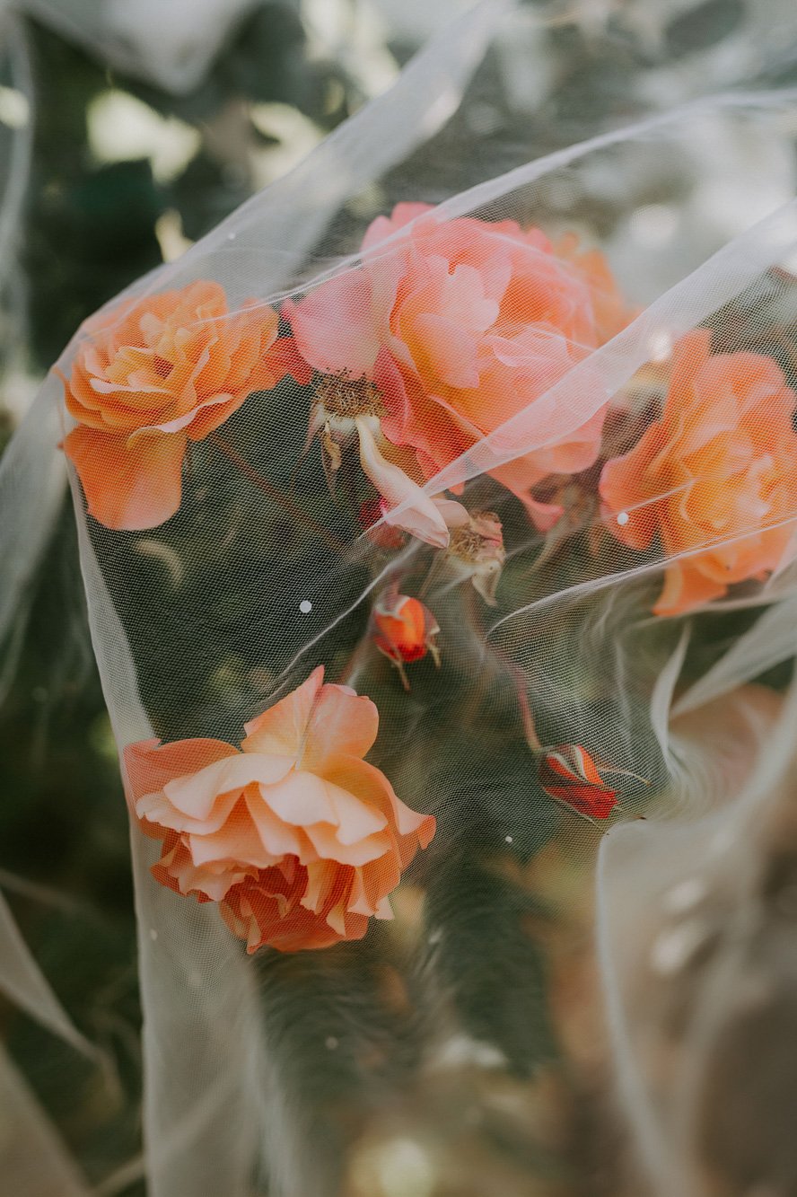 JL_GoldCoast_Queensland_Australia_Wedding_Ulla_and_Egor_Photography_0307.jpg