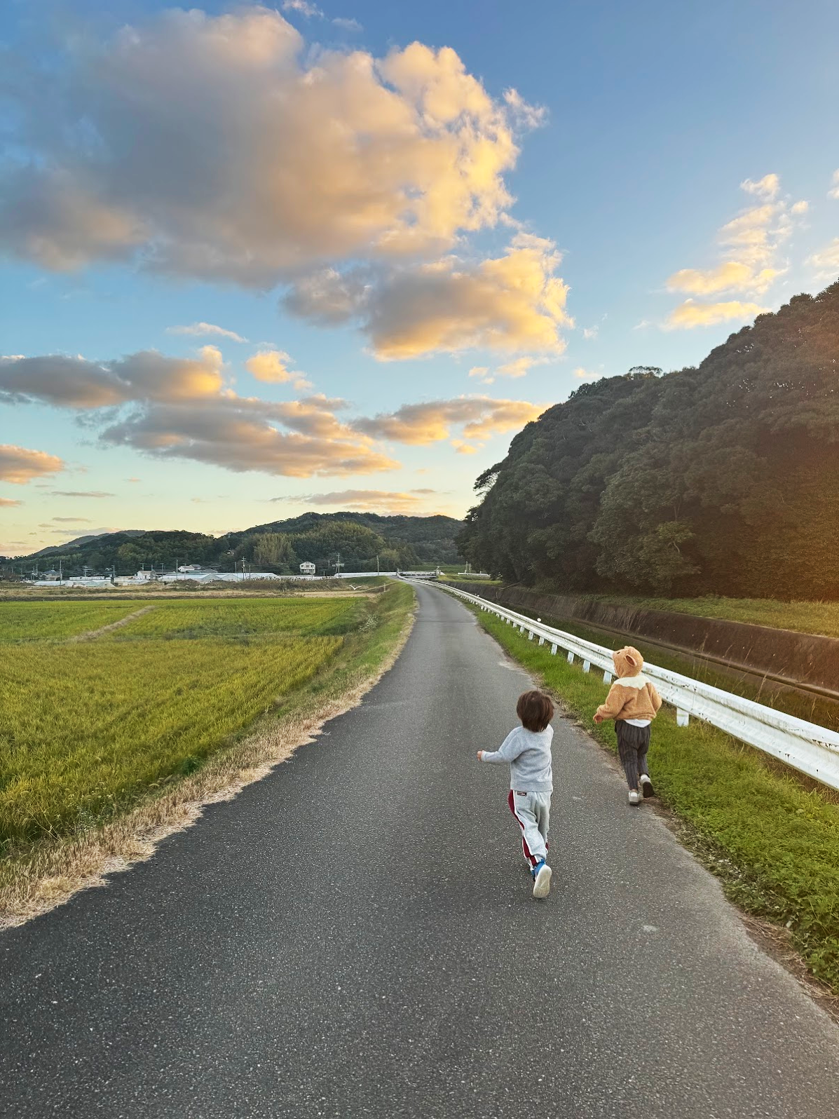子供たちが裸のチワワの着ぐるみを着て走っている田舎の道の風景、夕焼けの空と山の背景