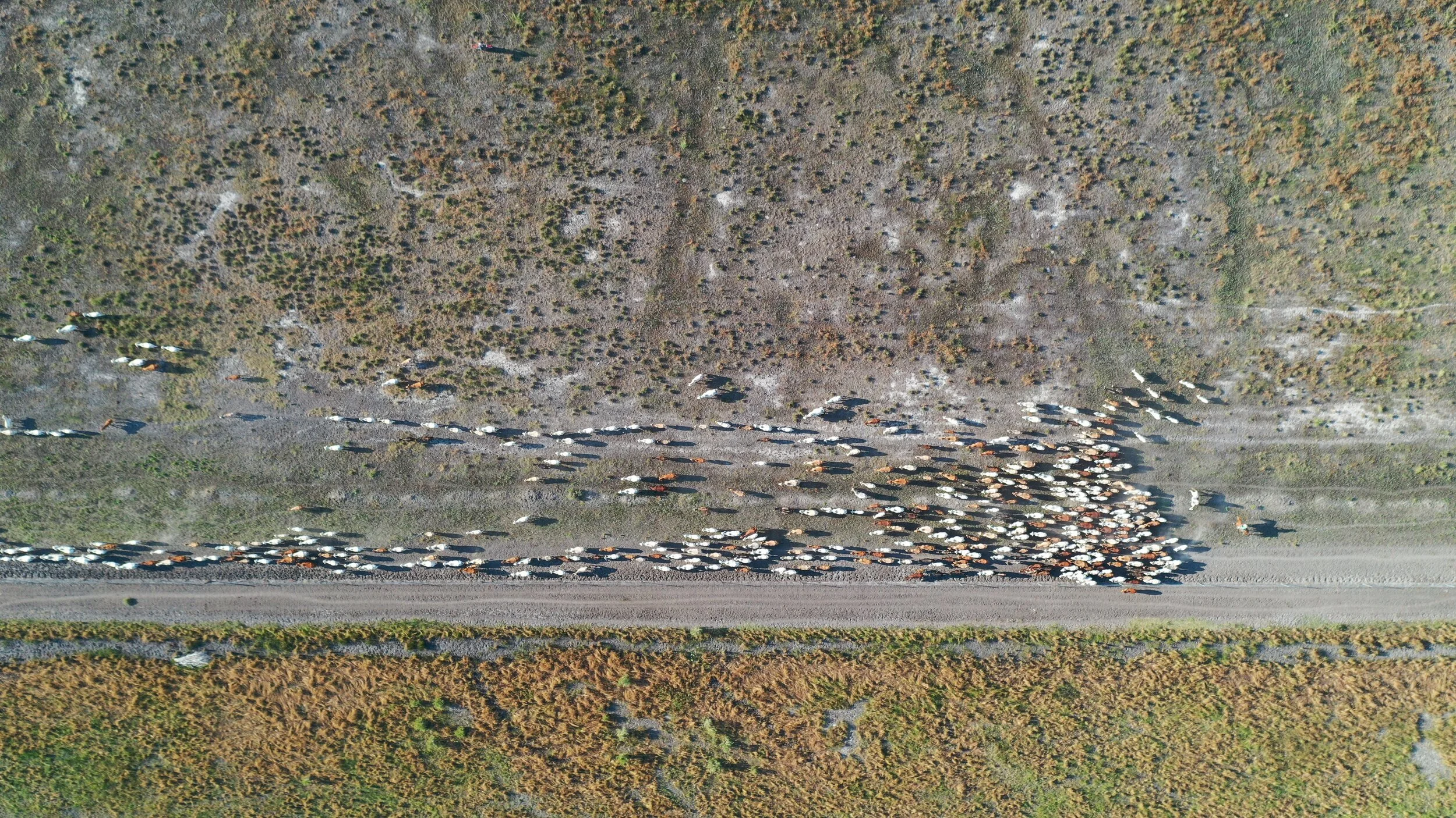 DJI_0522.JPG
