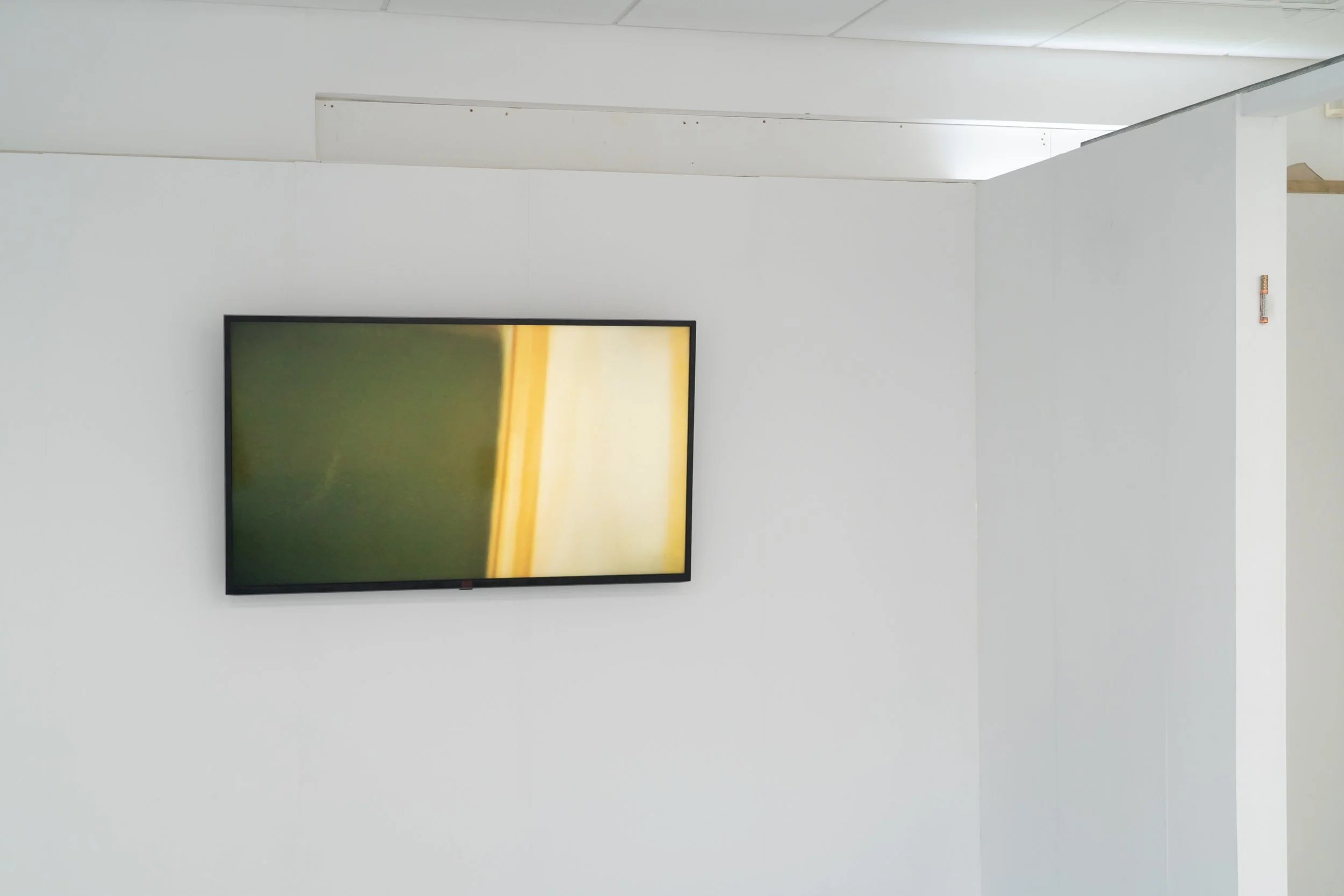 DSC07232-Edit.jpg