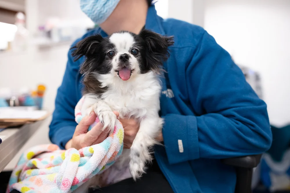 The Fix Machine Kennewick Coffee House Experience The Fix Machine Kennewick Coffee House Experience